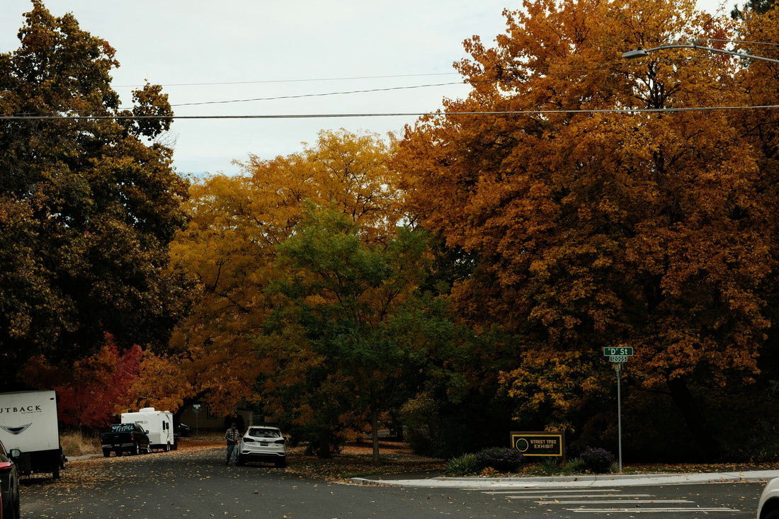 Top and Best Website Design Agencies and Companies in Old Bridge, New Jersey