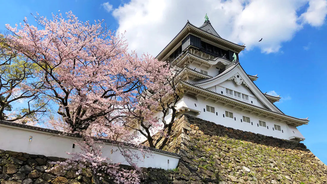 Top or Best Influencer Marketing Campaign Agencies and Companies in Kitakyushu, Japan