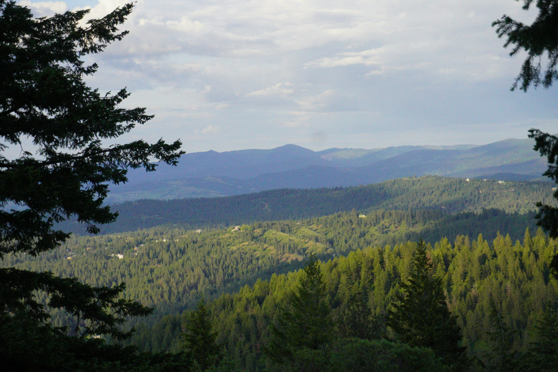 Top and Best LinkedIn Management Agencies and Companies in Bend, Oregon