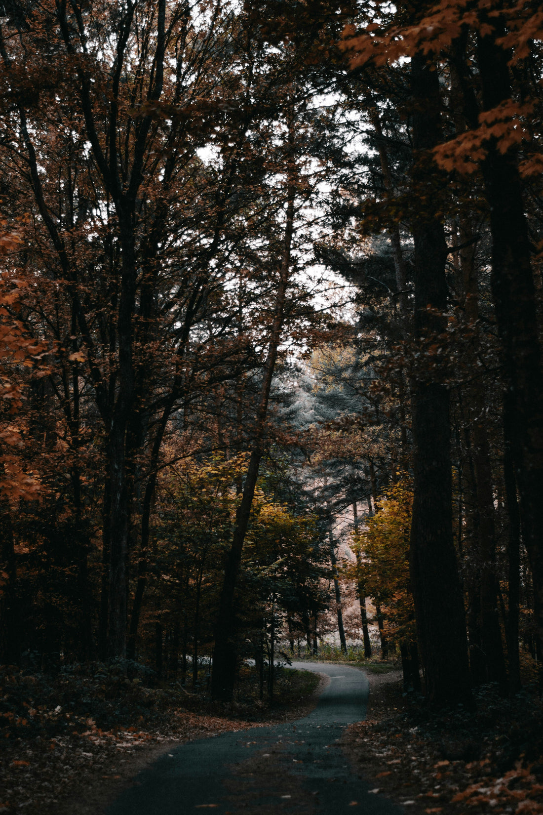 Top and Best LinkedIn Management Agencies and Companies in Chesapeake, Virginia