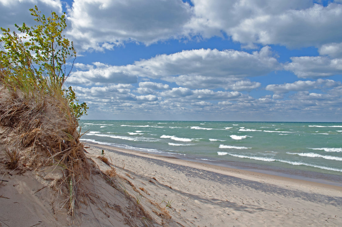 Top or Best Social Media Management Agencies and Companies in Sterling Heights, Michigan