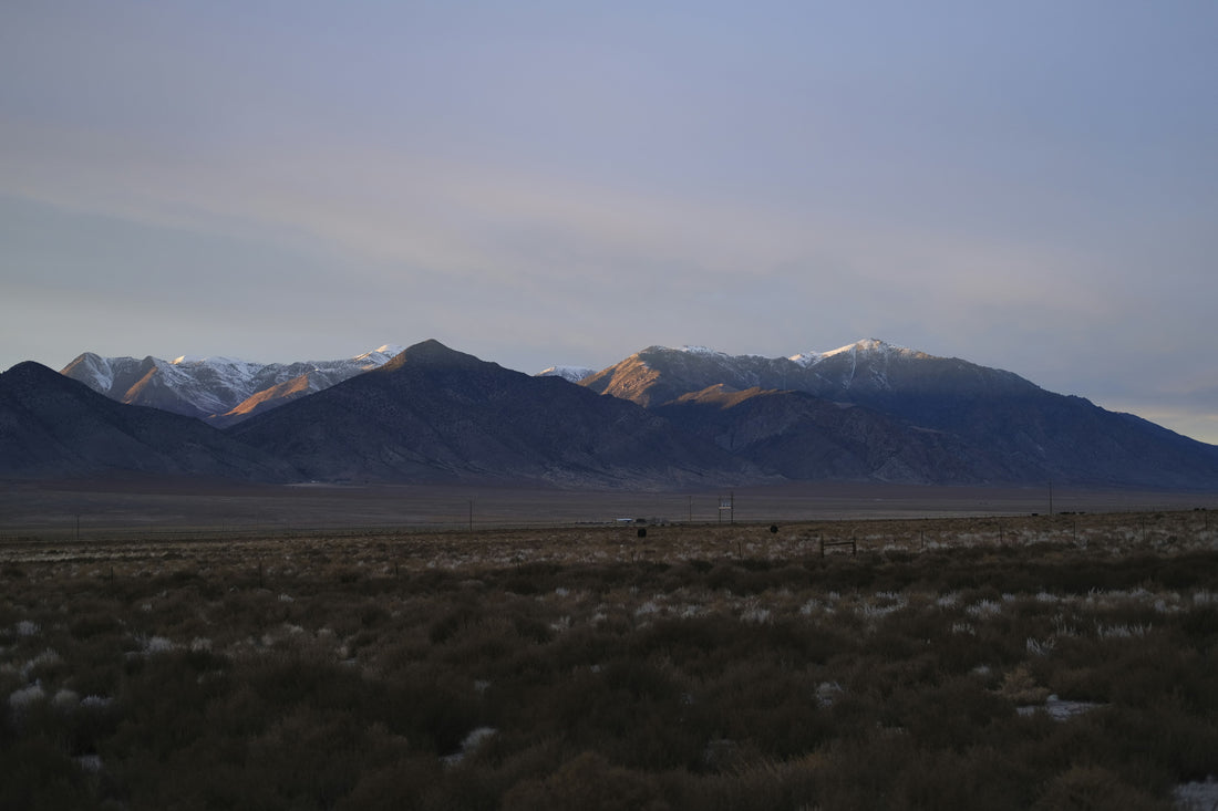 Top and Best App UI/UX Design Agencies and Companies in Paradise, Nevada