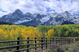 Top or Best Catalog Design Agencies and Companies in Lakewood, Colorado