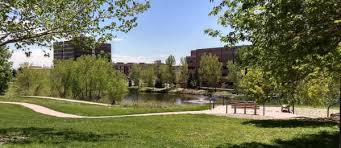 Top or Best Drawing and Illustration Agencies and Companies in Lakewood, Colorado