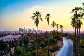 Top or Best Virtual Background Design Agencies and Companies in Los Angeles, California