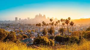 Top or Best Social Media Design Agencies and Companies in Los Angeles, California