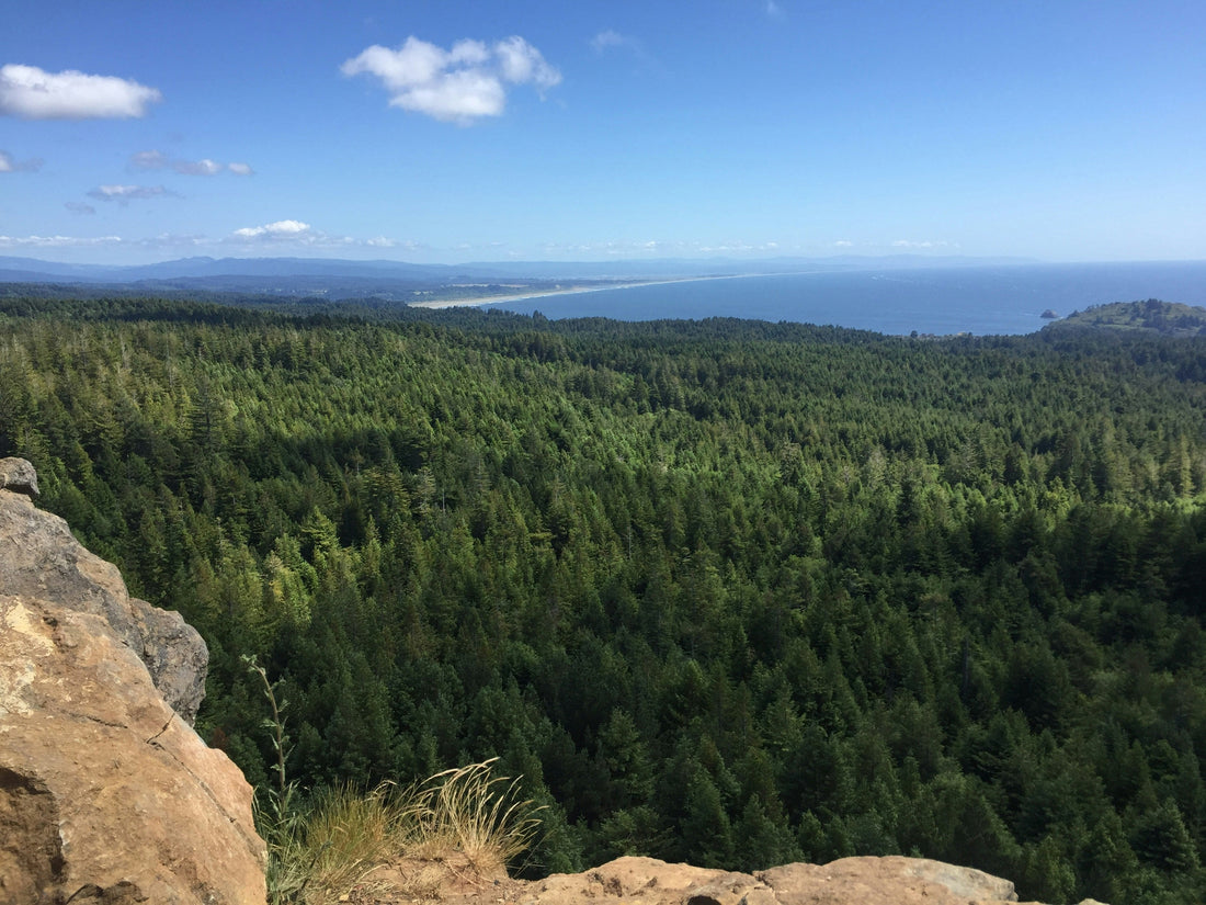 Top and Best YouTube Management Agencies and Companies in Salem, Oregon