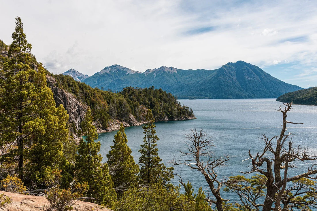 Top 5 Flyer Design Agencies in Alaska