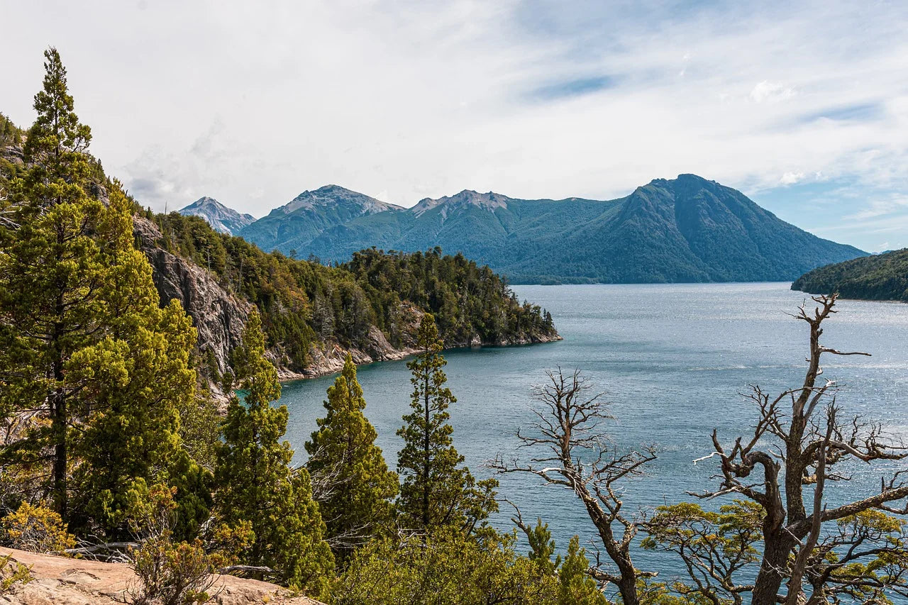 Top 5 Flyer Design Agencies in Alaska