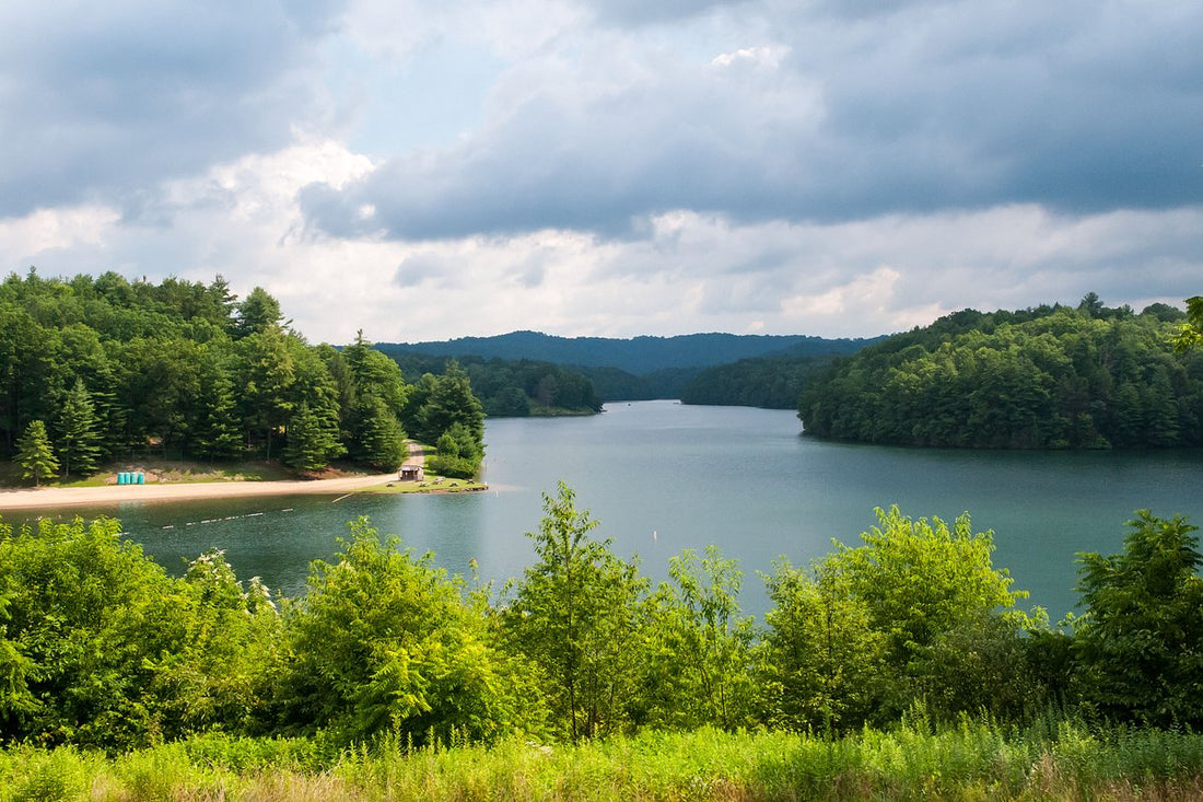 Top or Best Invitation Design Agencies and Companies in Beckley, West Virginia