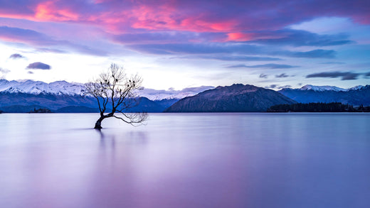 Top 5 Storyboard Agencies in New Zealand