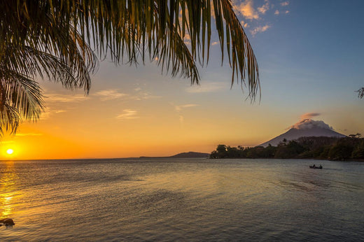 Top 5 Brand Identity Package Agencies in Nicaragua