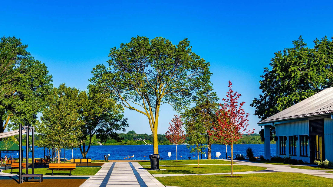 Top and Best Storyboard Agencies and Companies in Lakeville, Minnesota