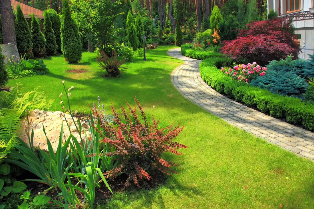 Top or Best Virtual Background Design Agencies and Companies in Germantown, Maryland