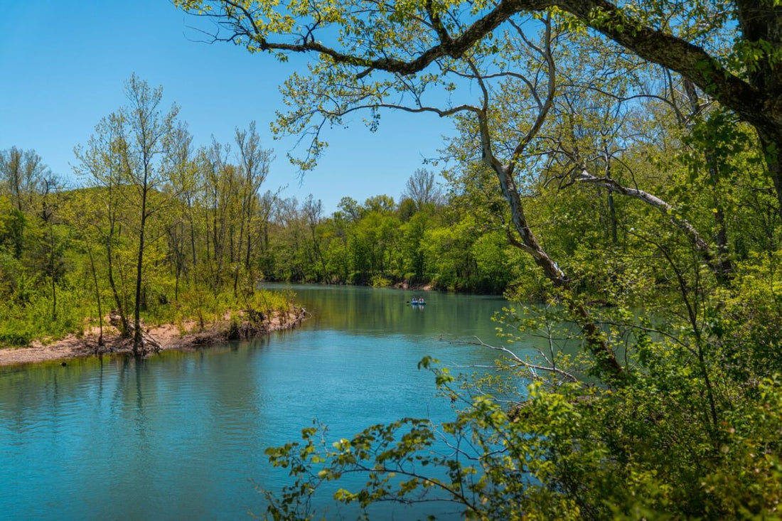 Top NFT Art Agencies in Missouri