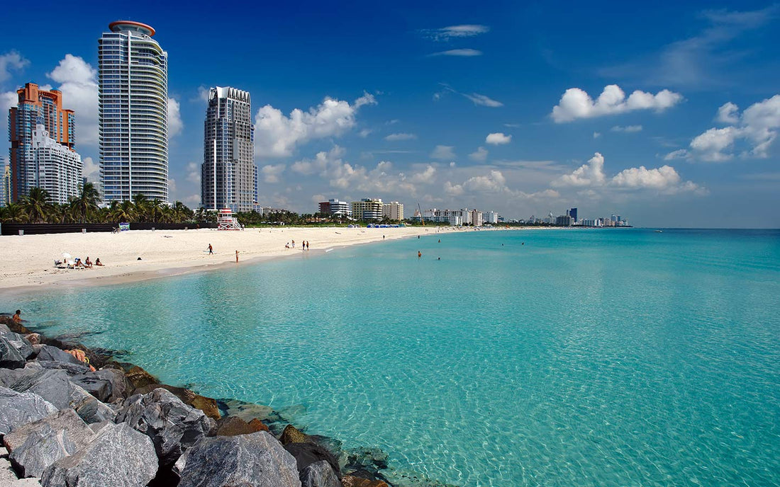 Top or Best Logo Design Agencies and Companies in Miami Beach, Florida