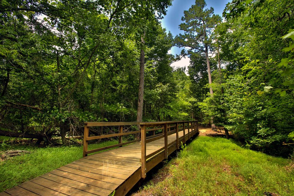 Top or Best Direct Mail Design Agencies and Companies in Chapel Hill, North Carolina