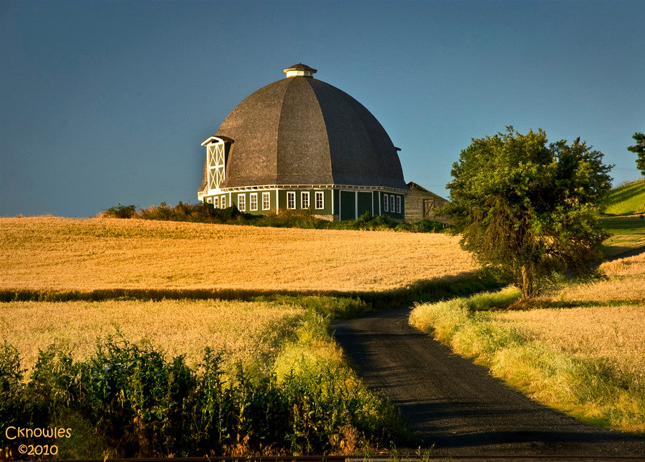 Top or Best Animation and Motion Graphics Agencies and Companies in Moscow Idaho