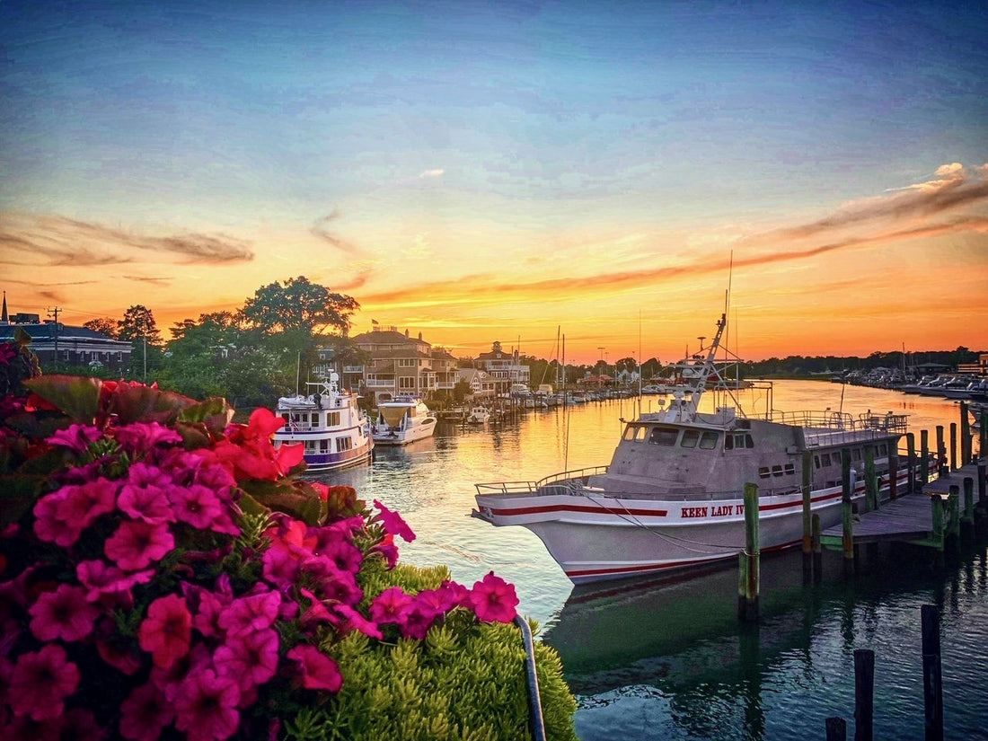 Top or Best Infographic Design Agencies and Companies in Pike Creek Valley, Delaware