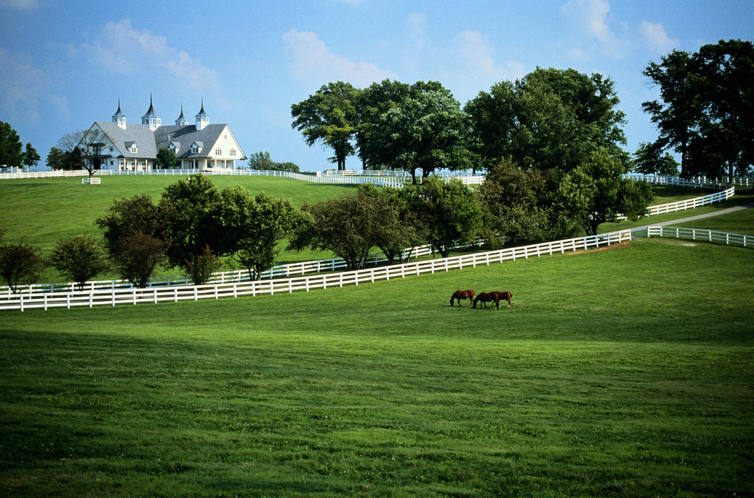 Top or Best Influencer Brand Partnership Agencies and Companies in Lexington, KY