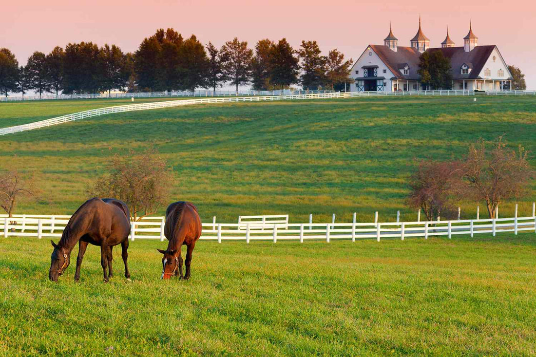Top or Best Talent Management Agencies and Companies in Lexington, Kentucky