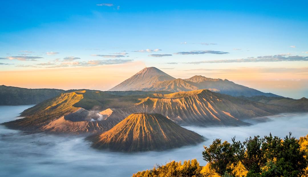 Best Linkedin Management Company in Indonesia