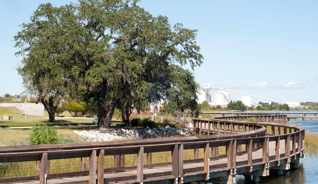 Top or Best NFT Art Agencies and Companies in North Charleston, South Carolina