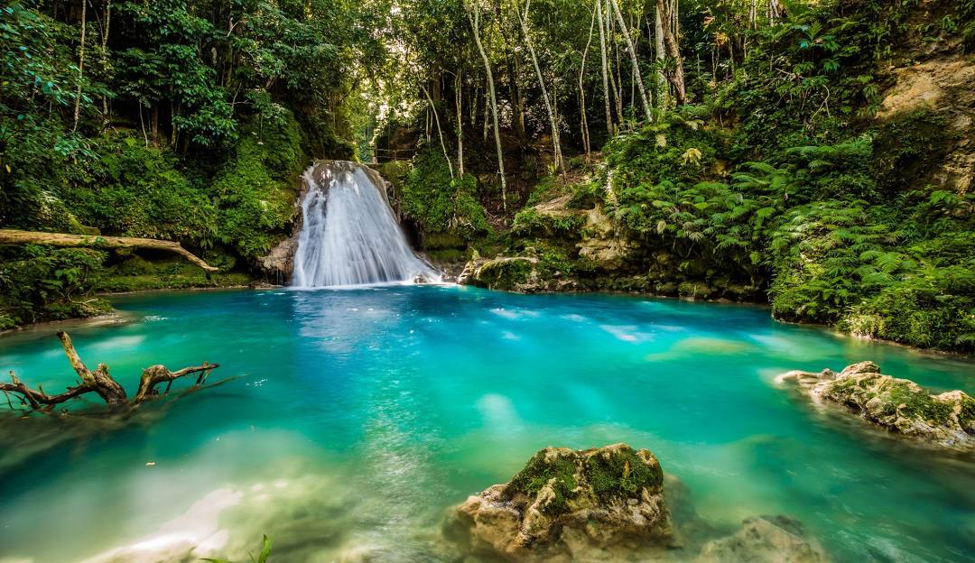 Top 5 Mural Background Designers in Jamaica: Creating Bold and Unique Visuals for Every Space
