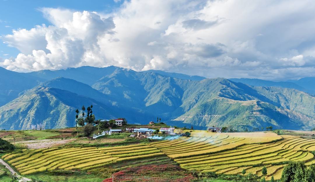 Top or Best Influencer Agency for Bhutanese Brands