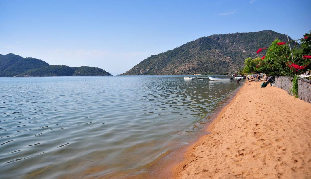 Top or Best Influencer Agency for Malawian Brands