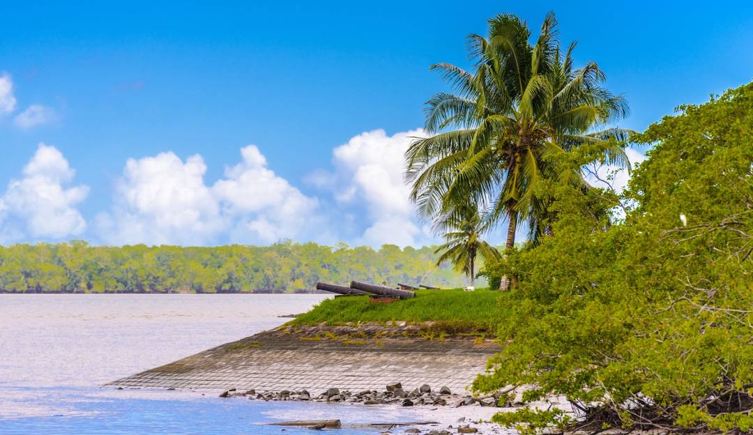 Top or Best Influencer Agency for Surinamese Brands