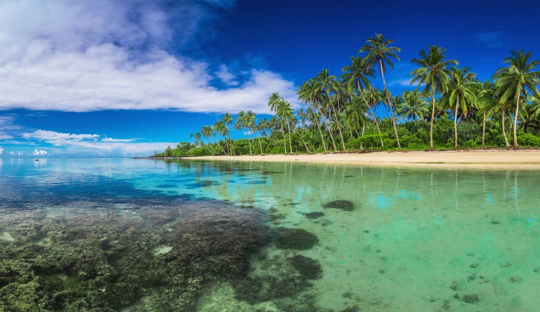 Top or Best Influencer Agency for Samoan Brands