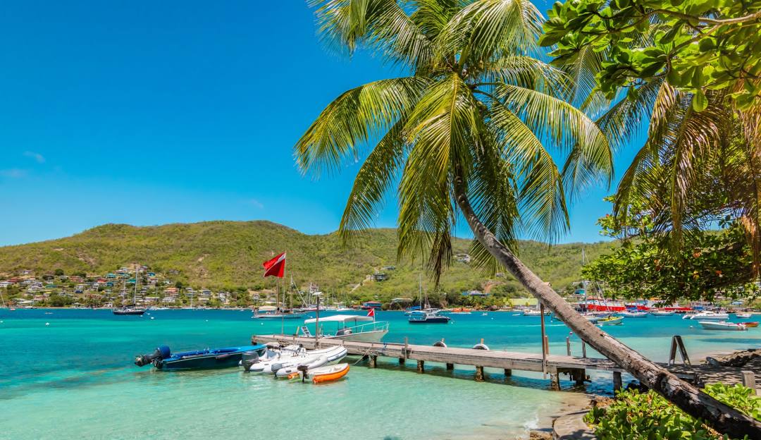 Top or Best Influencer Agency for Saint Vincentian Brands