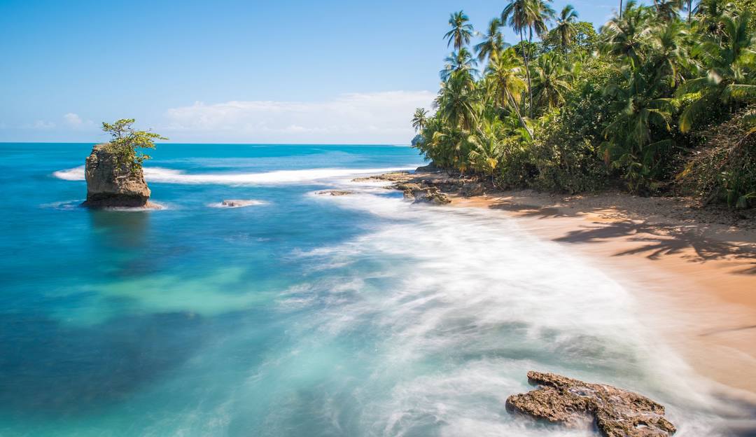 Top Social Media Management Companies in Costa Rica