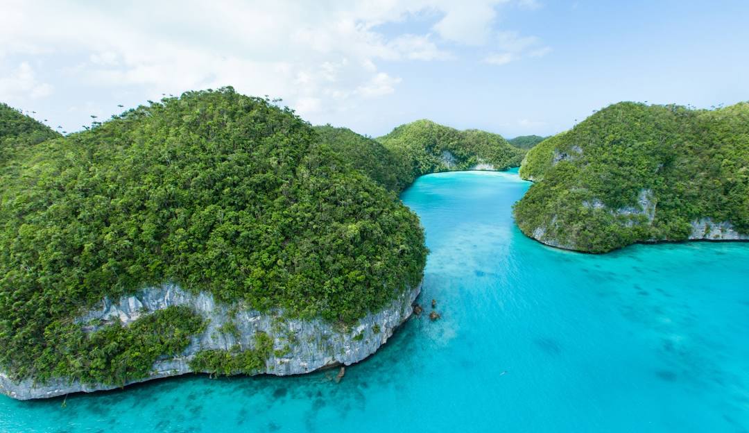 Top or Best Influencer Agency for Palauan Brands