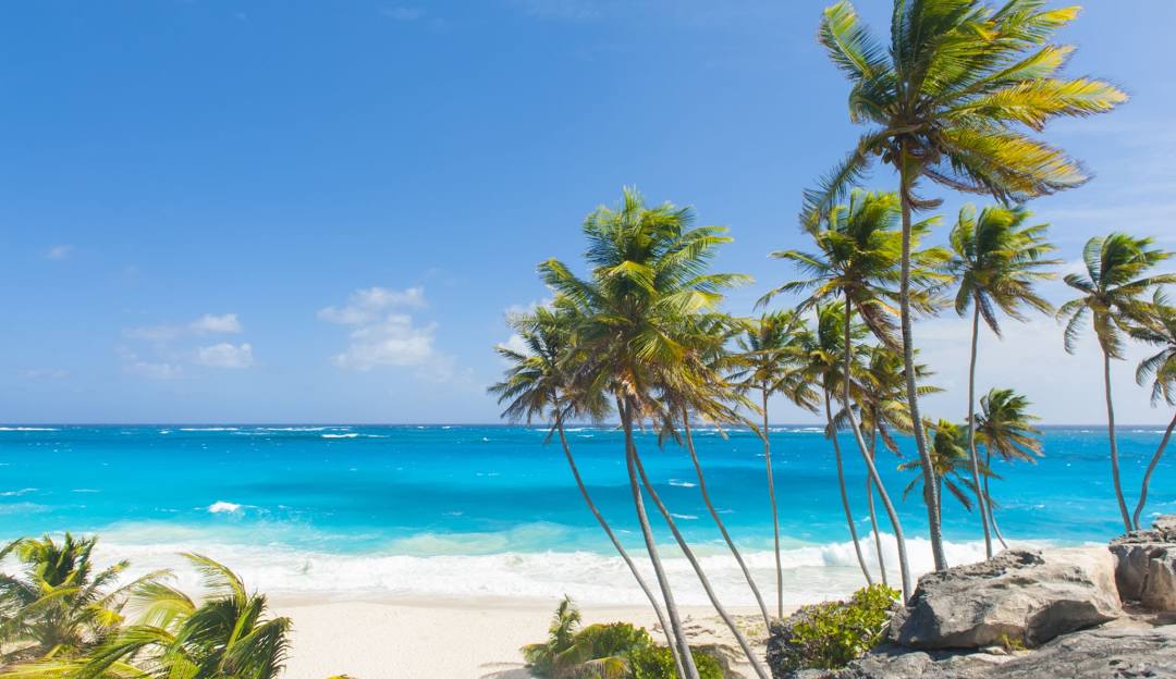 Best Instagram Management Companies in Barbados