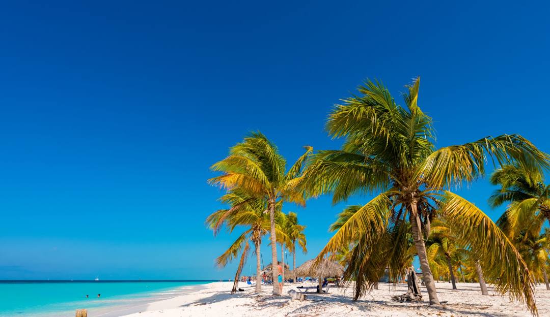 Best Instagram Management Company in Cuba