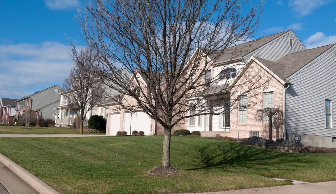 Top or Best Photo Editing Agencies and Companies in Canton, Ohio