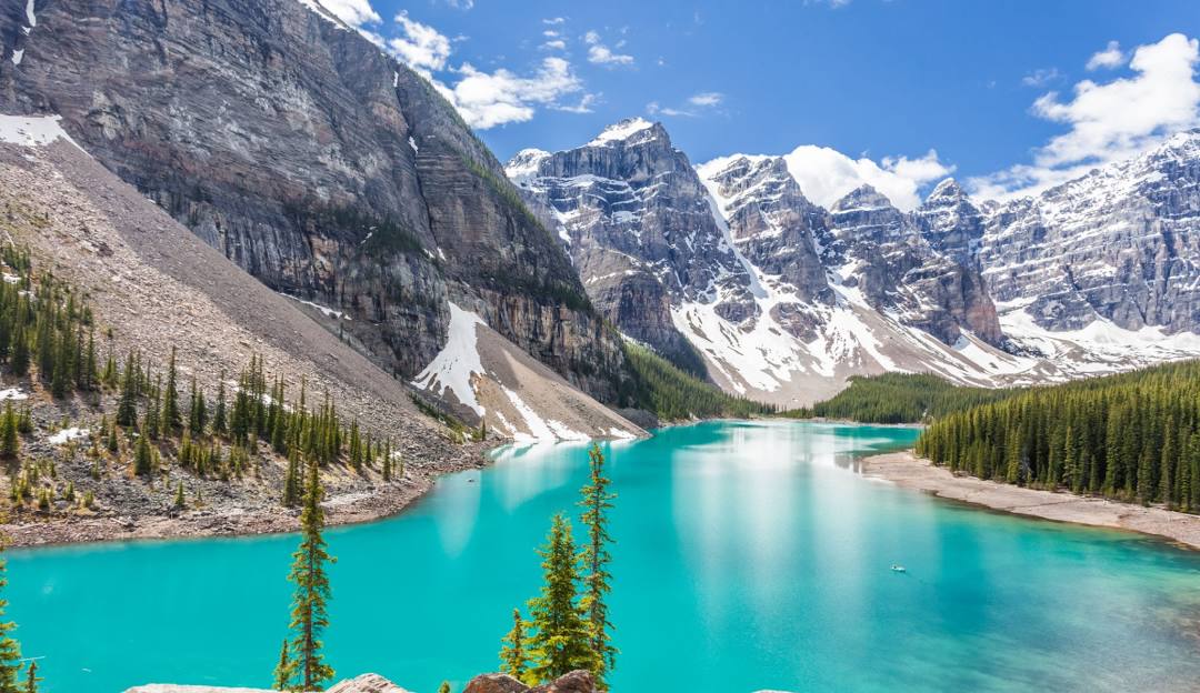 Top or Best Influencer Agency for Canadian Brands