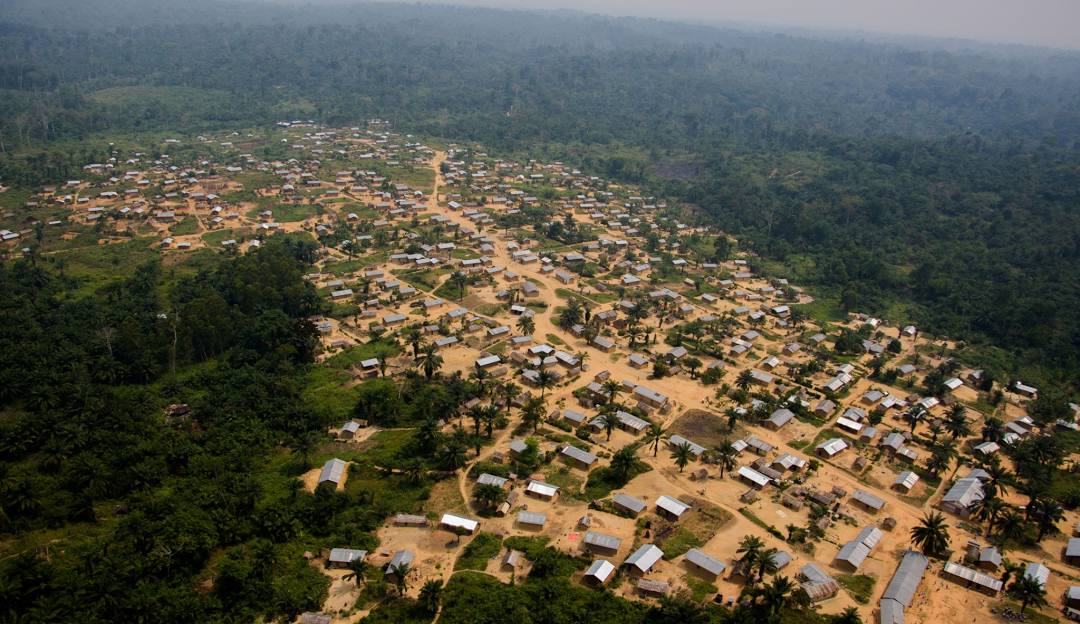 Top Infographic Designers in Congo
