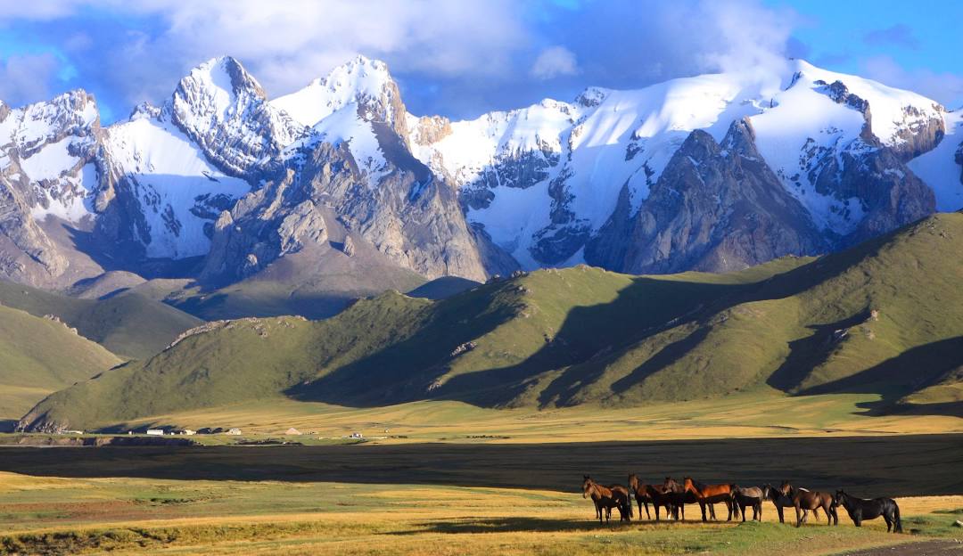 Top or Best Influencer Agency for Kyrgyz Brands