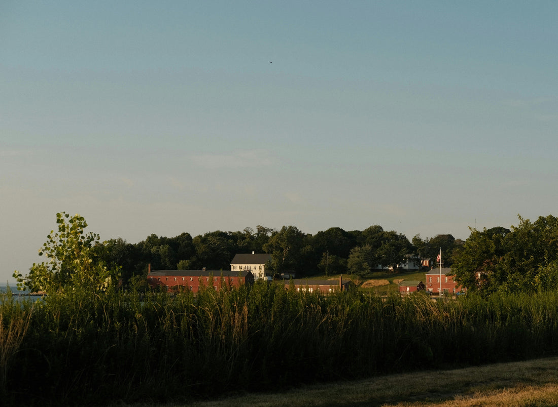 Top and Best Logo Design Agencies and Companies in Middletown, New Jersey