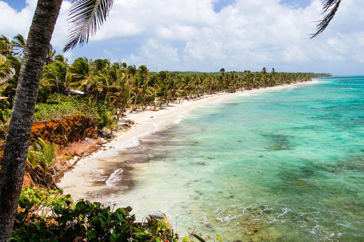 Top AR Filters and Lenses Agencies in Nicaragua