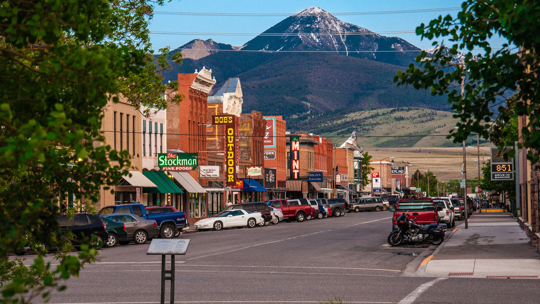 Top and Best Web and Mobile Design Agencies and Companies in Livingston, Montana