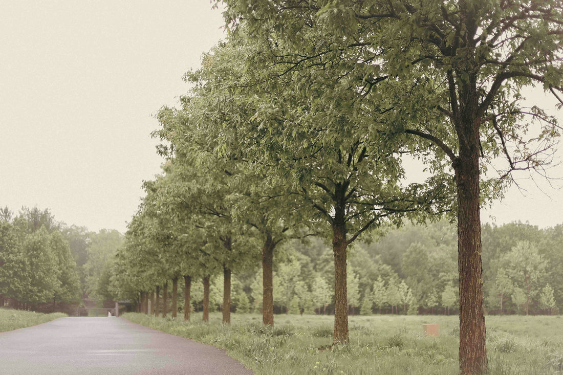 Top or Best Drawing and Illustration Agencies and Companies in Potomac, Maryland