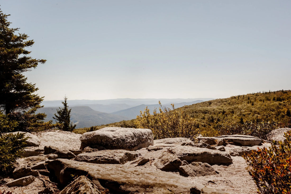 Top or Best TikTok Management Agencies and Companies in Teays Valley, West Virginia