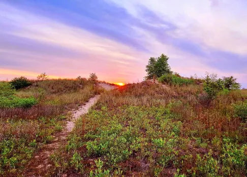 Top or Best LinkedIn Management Agencies and Companies in Waukegan, Illinois