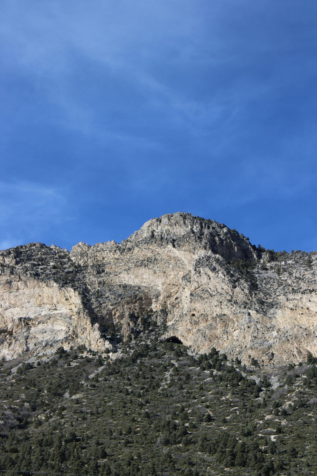 Top and Best Menu Design Agencies and Companies in Sparks, Nevada