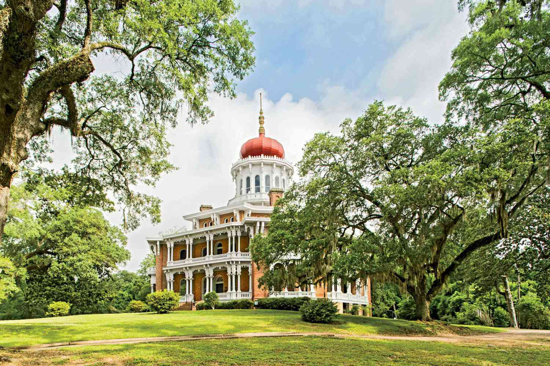 Best Instagram Management Companies in Mississippi