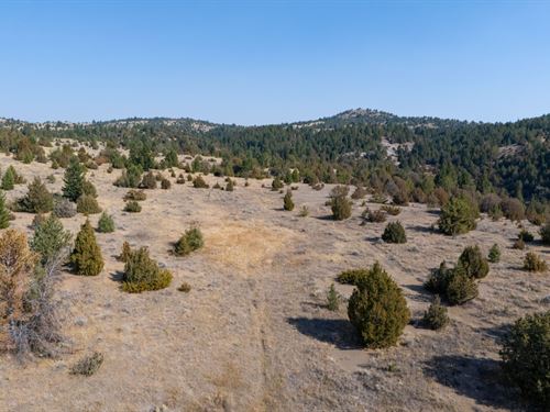 Top or Best Graphics for Streamers Agencies and Companies in Anaconda-Deer Lodge County, Montana
